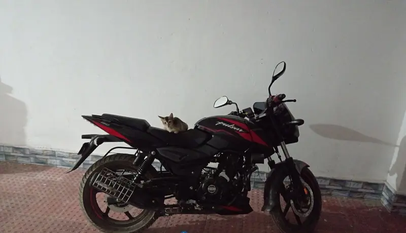 Bajaj Pulsar 150 photo