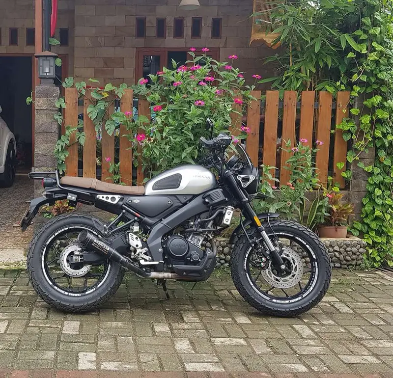 Yamaha XSR155 photo